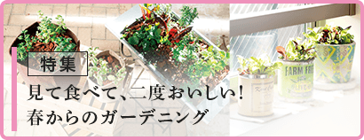 見て食べて、二度おいしい! 春からのガーデニング