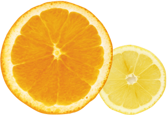 オレンジとレモンの写真