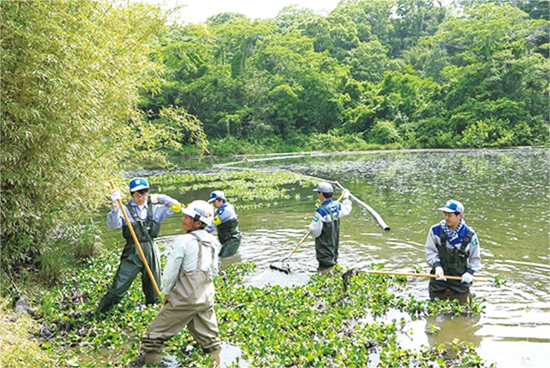 鹿児島県指定天然記念物「オニバス」保護活動の様子の写真