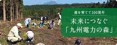 九州電力の地域共生活動 みらいにつなぐ 森を育てて100周年 未来につなぐ「九州電力の森」