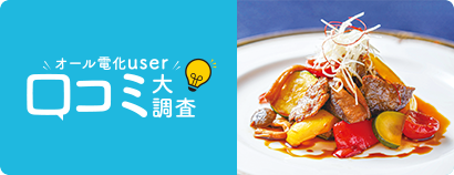 オール電化user口コミ大調査 子どもが使っても安心です!