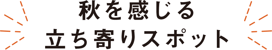 秋を感じる立ち寄りスポット