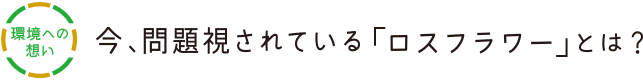 環境への想い 今、問題視されている「ロスフラワー」とは？