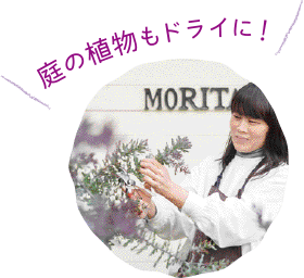 庭の植物もドライに！