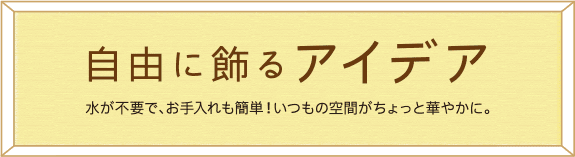 自由に飾るアイデア 水が不要で、お手入れも簡単！いつもの空間がちょっと華やかに。