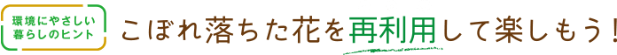 環境にやさしい暮らしのヒント こぼれ落ちた花を再利用して楽しもう！