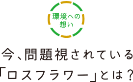 環境への想い 今、問題視されている「ロスフラワー」とは？