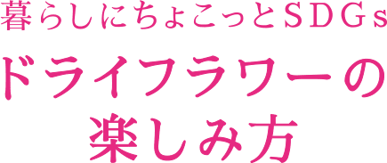 暮らしにちょこっとSDGs ドライフラワーの楽しみ方