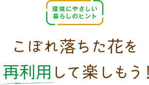 環境にやさしい暮らしのヒント こぼれ落ちた花を再利用して楽しもう！