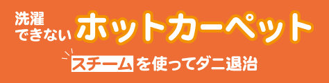 洗濯できないホットカーペット スチームを使ってダニ退治