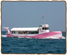 海中展望船ジーラ 海中展望船ジーラ