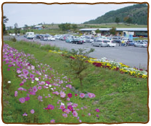 町田バーネット牧場