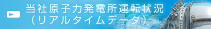 当社原子力発電所運転状況（リアルタイムデータ）