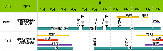 電照栽培の作型例の表