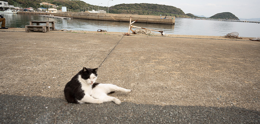 地域振興の取組み