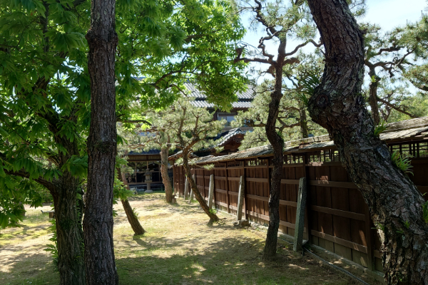 舞鶴荘 庭園の写真 その4