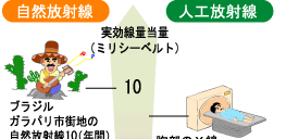 日常生活と放射線