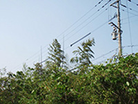 送配電線の写真