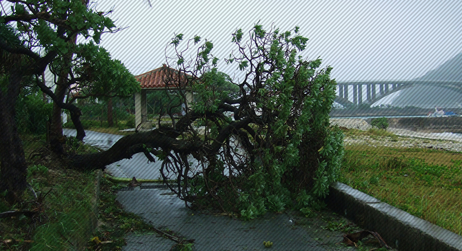 /library/td2026/images/supply/accident-prevention/saigai_01_sp.jpg