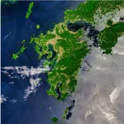 地域共生部門