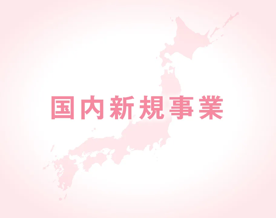 国内新規事業