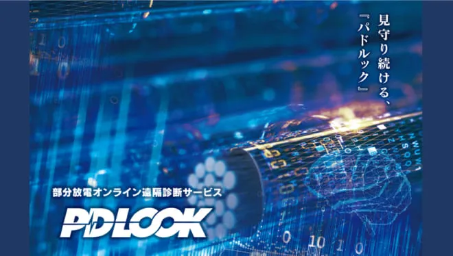 PDLOOK