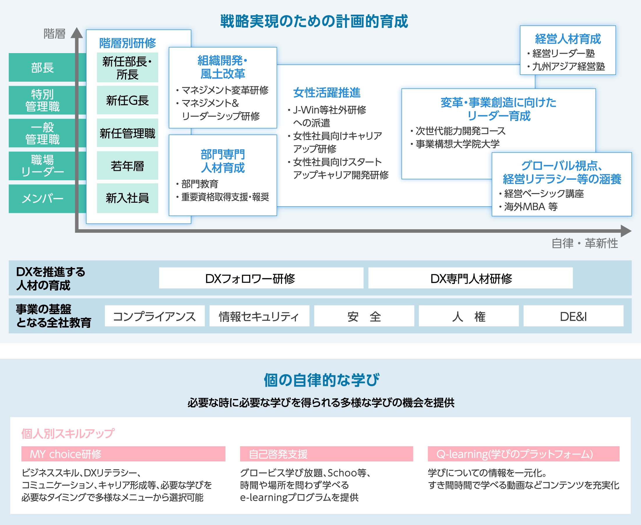 教育体系の概念図