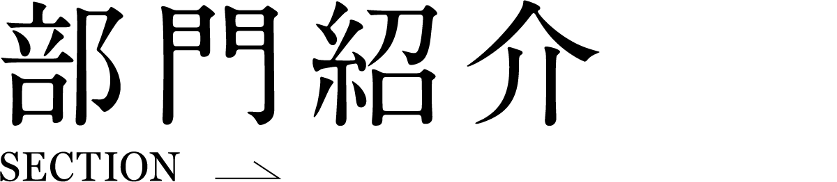 部門紹介 SECTION
