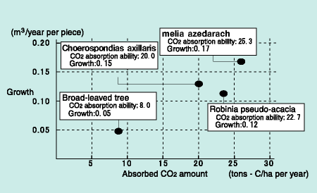 Japanese bead tree's CO2 absorption ability