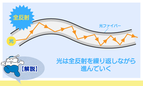 解説