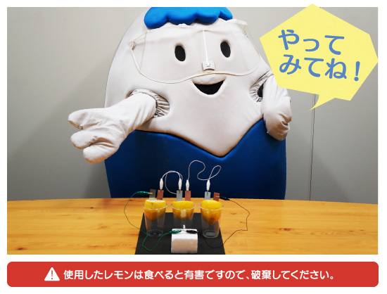 使用したレモンは食べると有毒ですので、破棄してください。