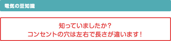 電気の豆知識、知っていましたか？コンセントの穴は左右で長さが違います！