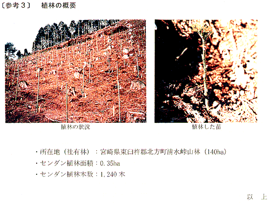 ＜参考資料＞センダンのＣＯ２吸収能力の評価と植林に関する研究３