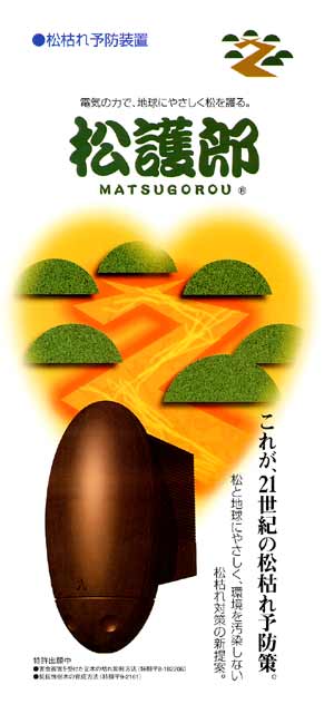 リリース画像