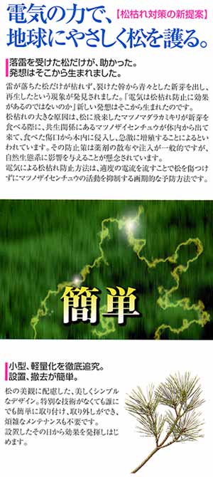 リリース画像