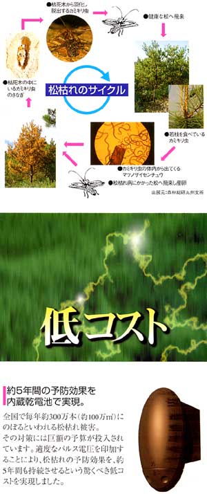 リリース画像