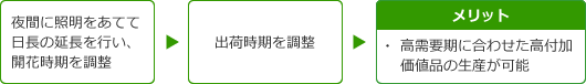 夜間に照明をあてて日長の延長を行い、開花時期を調整