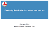 Outline of Authorization of Electricity Rate Reduction