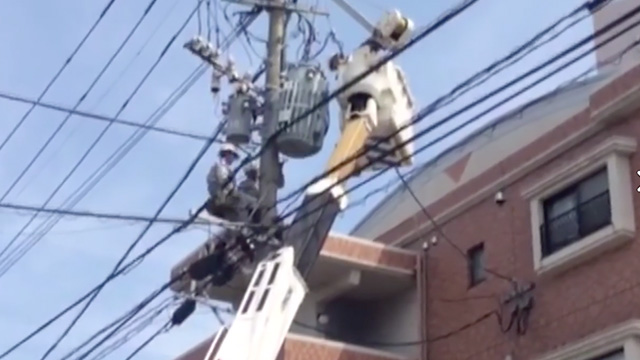 「平成28年熊本地震」に伴う停電状況等の提供について（16）のイメージ