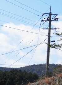 切れた電線の写真