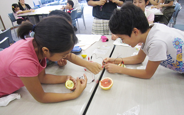 電気教室(くだもの電池)の写真