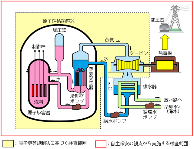 定期検査に関する図解