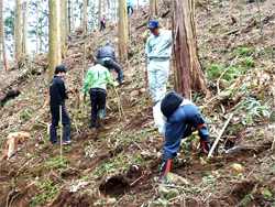 植樹ボランティア活動