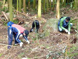 植樹ボランティア活動