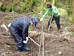 植樹ボランティア活動