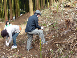 植樹ボランティア活動