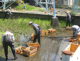 佐賀河川清掃の様子