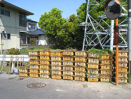 佐賀河川清掃の様子