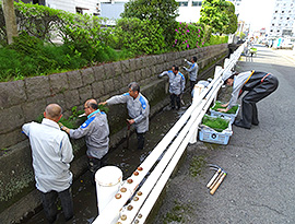 佐賀河川清掃の様子