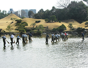 水前寺成趣園